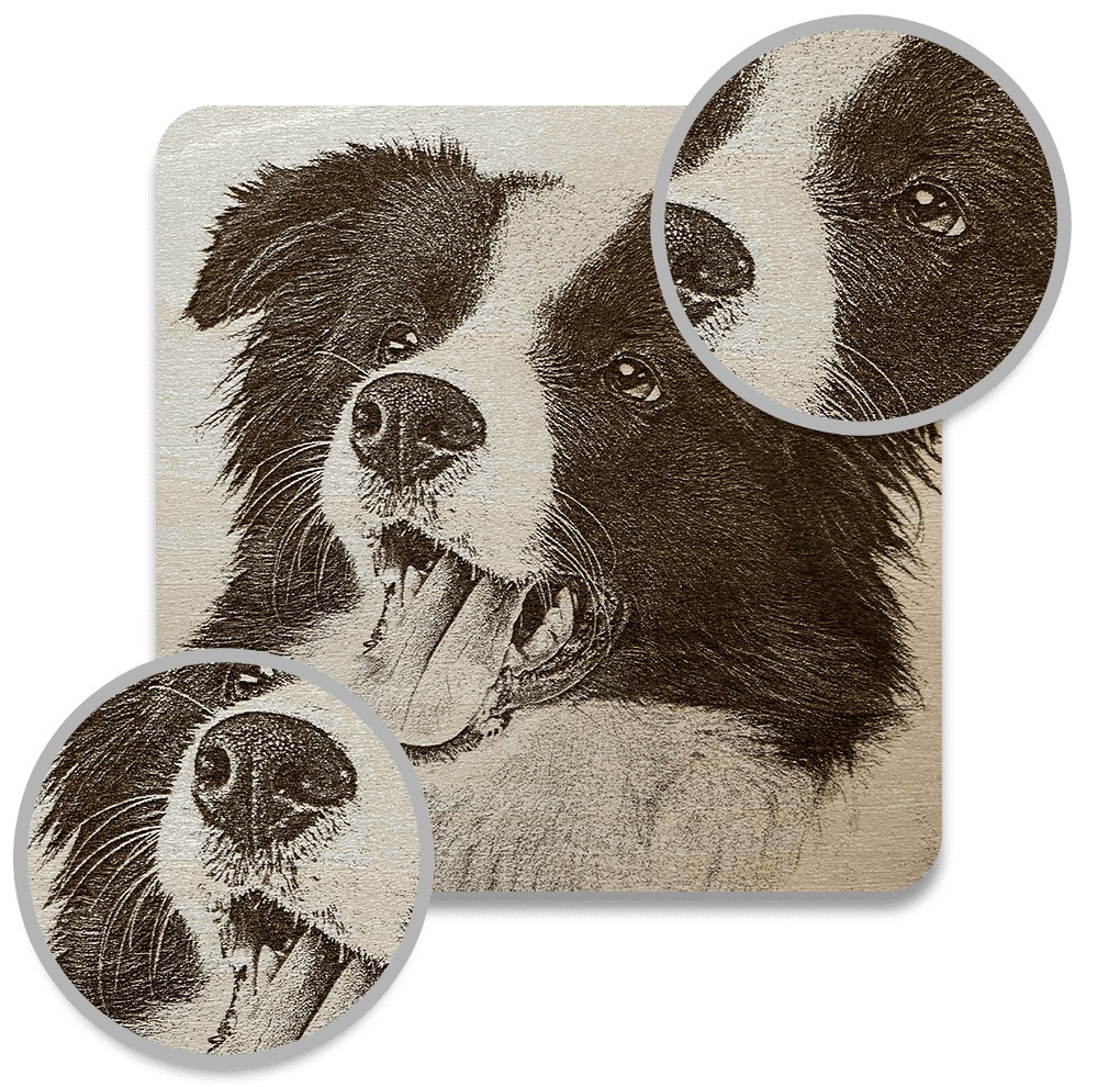 Lazervida 10W Diode Laser Cutter has 1000 DPI Fabulous Details