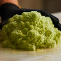 mayku multiplier pressure former steps