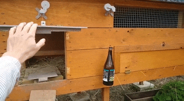 Kürnikotv?r 半自動(dòng)踏板控制的雞舍門(mén)